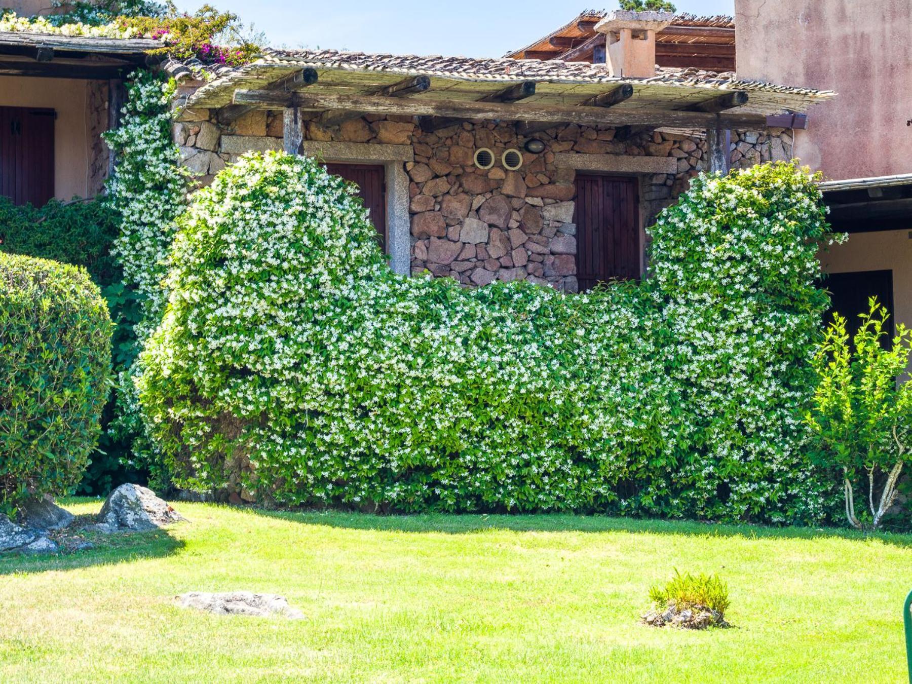 Caletta 10 - Klodge Porto Rotondo Exterior foto
